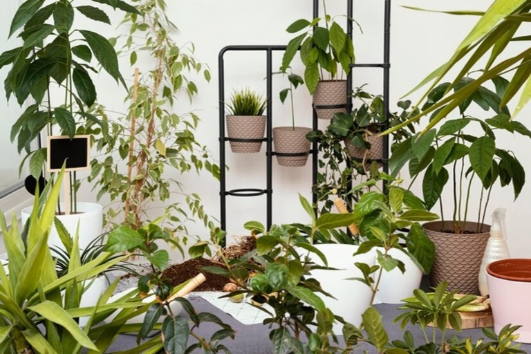 garden-home-concept_23-2148826068.jpg